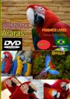 DVD 11 - P�ssaros Livres - Sons P�ssaros Brasil
